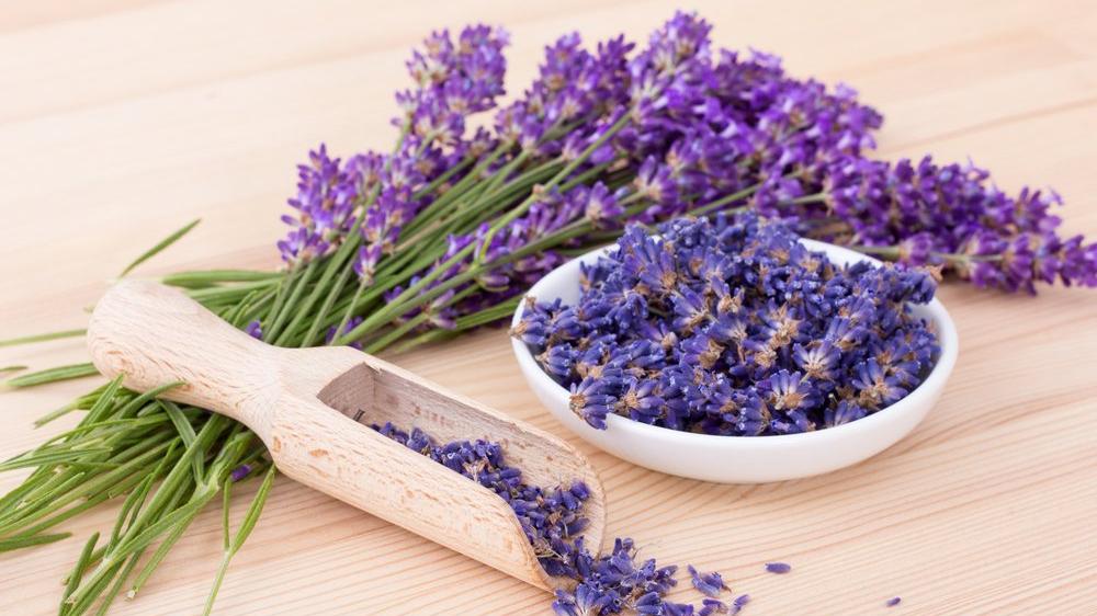 lavender flowers on plate and wooden shovel